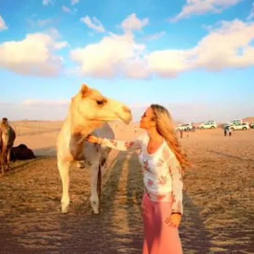 https://d1i3enf1i5tb1f.cloudfront.net/Tour-Images/Final/Camel-Trekking-in-Abu-Dhabi-183/1725538612467_S.jpg