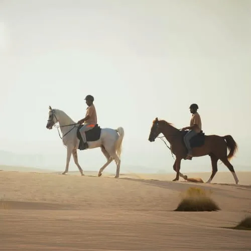 https://d1i3enf1i5tb1f.cloudfront.net/Tour-Images/Final/Horse-Riding-At-Abu-Dhabi-509238/1725963673473_S.jpg