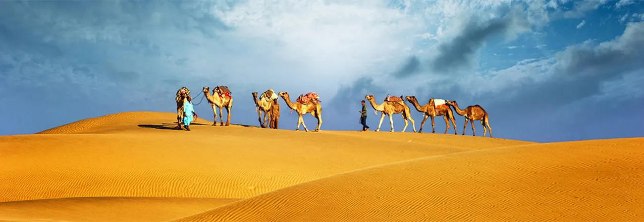 https://d1i3enf1i5tb1f.cloudfront.net/Tour-Images/false-183/dubai-camel-safari.jpg