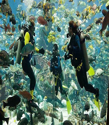 Scuba Diving Tour