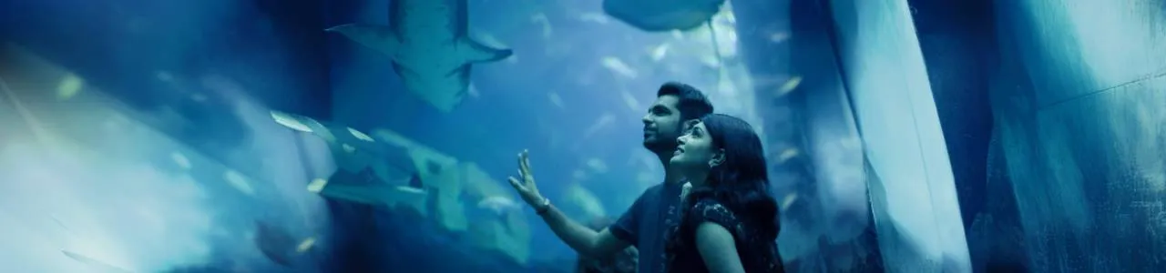 Dubai Aquarium and Underwater Zoo